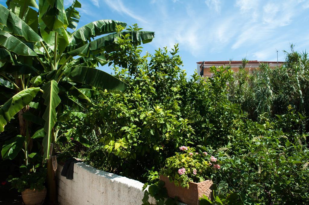 Studios Margarita Petalidi ภายนอก รูปภาพ