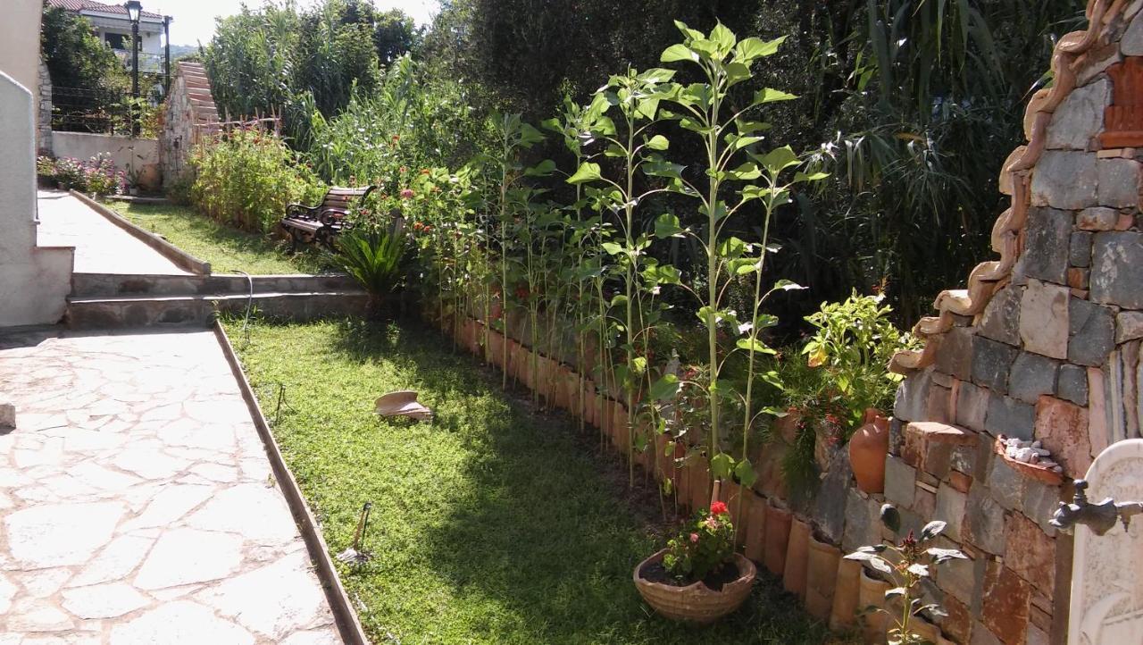 Studios Margarita Petalidi ภายนอก รูปภาพ